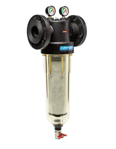 Vodni filter, tip NW650 (DN65, 2 1/2''), Cintropur