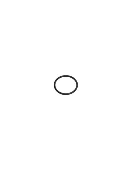 O-ring za filter Cintropur