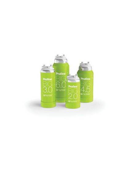 Cartridge ARSENIC BIG 6.0 / kartuša za odtranjevanje arzena